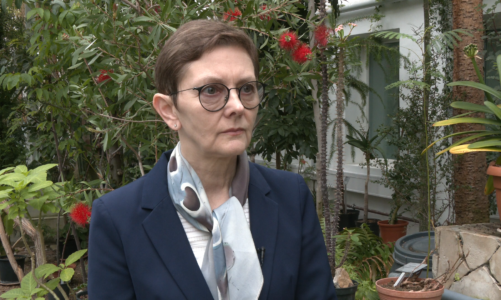 Zaczyna się sezon większej aktywności kleszczy. Eksperci: Ich ukłucie może się skończyć poważnymi problemami neurologicznymi