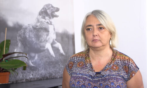 Rośnie liczba bezdomnych zwierząt w Polsce i związane z nimi wydatki. Potrzebne wprowadzenie kontroli środków przeznaczanych na schroniska